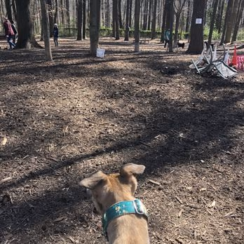 Dog Park at Carolina Pines Park photo 2